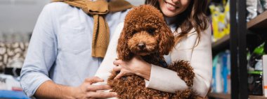 Cropped view of smiling woman holding poodle near boyfriend and showcase in pet shop, banner 