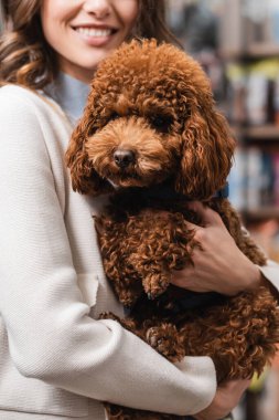 Cropped view of positive woman holding poodle in pet shop