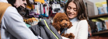 Positive woman holding poodle near blurred boyfriend and animal jacket in pet shop, banner  clipart