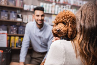 Woman holding brown poodle near blurred salesman in pet shop 