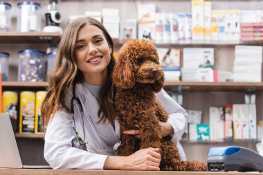 Smiling veterinarian looking at camera near poodle in pet shop 