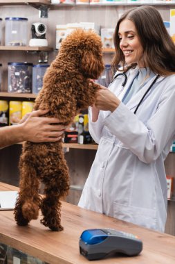 Smiling veterinarian holding poodle near man and payment terminal in pet shop  clipart