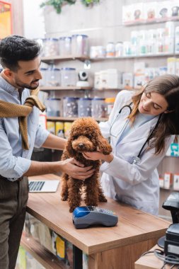 Arabian man holding poodle near smiling veterinarian in pet shop 