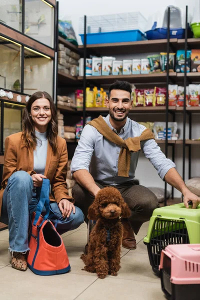 Positive Multiethnic Couple Looking Camera Poodle Pet Shop — 스톡 사진