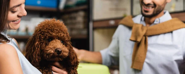 Positive Woman Holding Poodle Blurred Boyfriend Animal Shop Banner —  Fotos de Stock