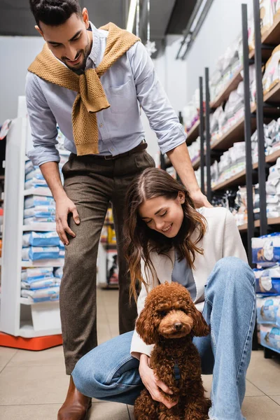 Cheerful Interracial Couple Looking Brown Poodle Pet Shop — 图库照片