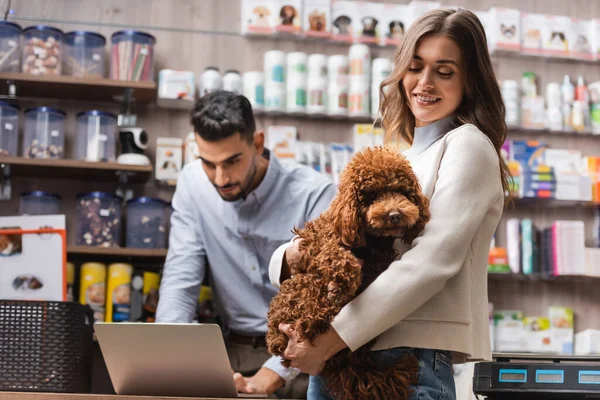 Smiling Client Holding Poodle Blurred Muslim Seller Using Laptop Pet — 스톡 사진