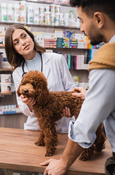 Veterinarian White Coat Talking Blurred Muslim Man Poodle Pet Shop —  Fotos de Stock