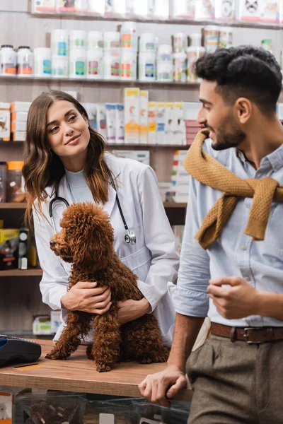 Smiling Veterinarian Looking Muslim Customer Poodle Pet Shop —  Fotos de Stock