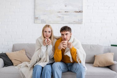young couple covered in blanket sitting on couch and holding cups of tea  clipart