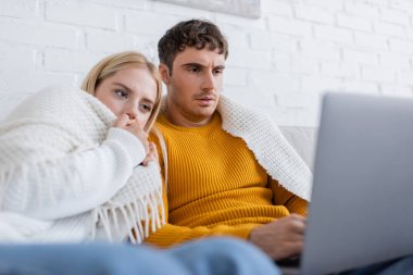 Genç çift battaniyeye sarılı olarak oturma odasında dizüstü bilgisayardan korku filmi izliyor. 