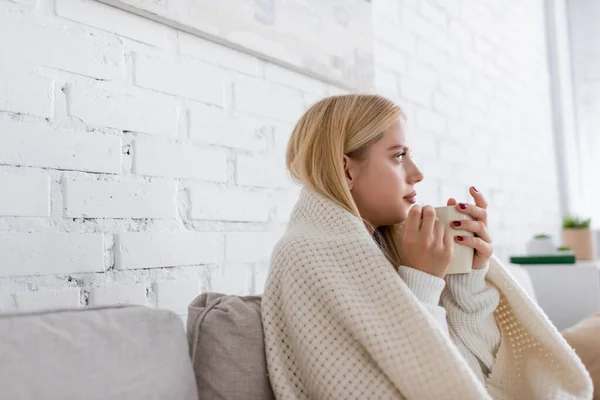 身穿毛衣的年轻妇女坐在客厅里 毛毯上覆盖着一杯茶 — 图库照片