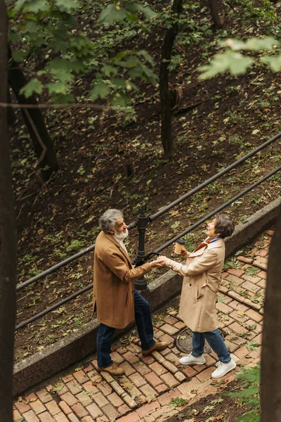 Vysoký Úhel Pohledu Veselý Starší Muž Drží Ruce Manželkou Parku — Stock fotografie