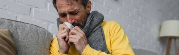 ill man in warm scarf suffering from runny nose and sneezing in paper napkin, banner