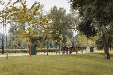 Mutlu genç adam ve kadın yeşil parktaki ahşap bankta oturuyor.