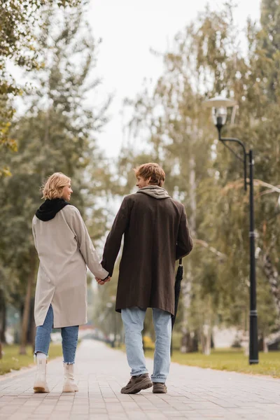 back view of happy couple in coats holding hands and walking in autumnal park