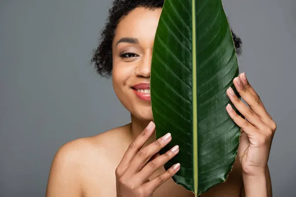 Щаслива афроамериканська жінка затемнює обличчя зеленим листом ізольовано на сірому — стокове фото