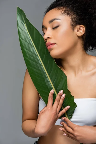 Mujer afroamericana de piel perfecta y ojos cerrados posando con hoja verde aislada sobre gris - foto de stock