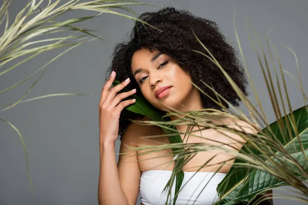 Jeune femme afro-américaine avec un maquillage naturel et une peau parfaite posant près de feuilles floues isolées sur gris — Photo de stock