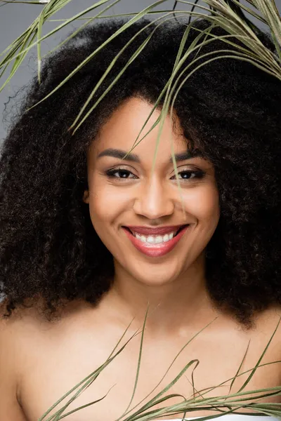 Mujer afroamericana feliz con maquillaje natural mirando la cámara cerca de hojas verdes aisladas en gris - foto de stock