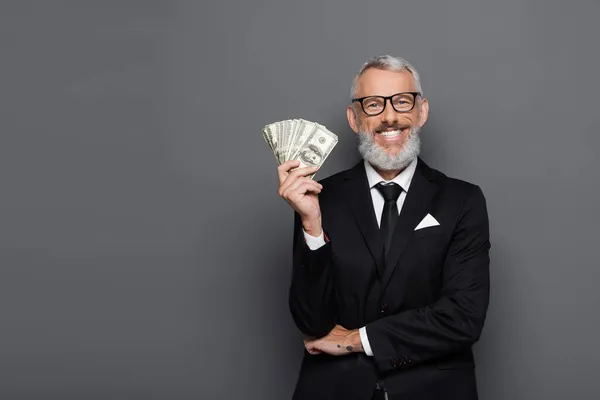 Cheerful middle aged businessman holding dollar banknotes on grey — Stock Photo