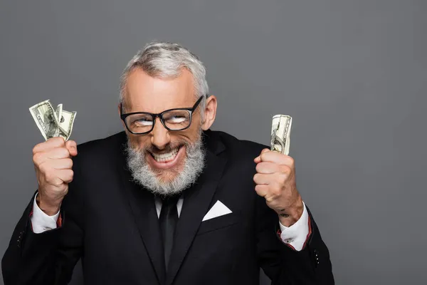 Positive middle aged businessman holding dollar banknotes isolated on grey — Stock Photo