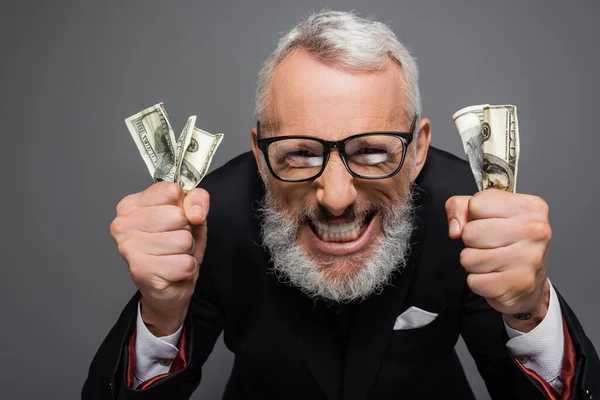 Heureux homme d'affaires d'âge moyen dans des lunettes tenant des billets en dollars et sourire isolé sur gris — Photo de stock