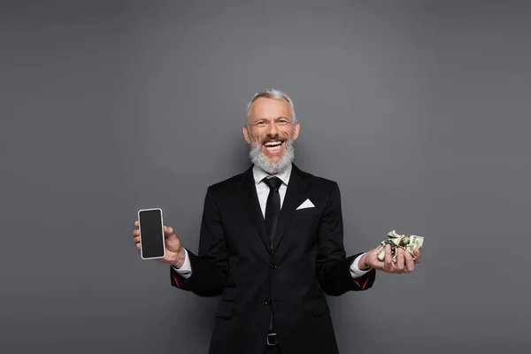 Радісний бізнесмен середнього віку, що тримає доларові банкноти та смартфон з порожнім екраном на сірому — стокове фото