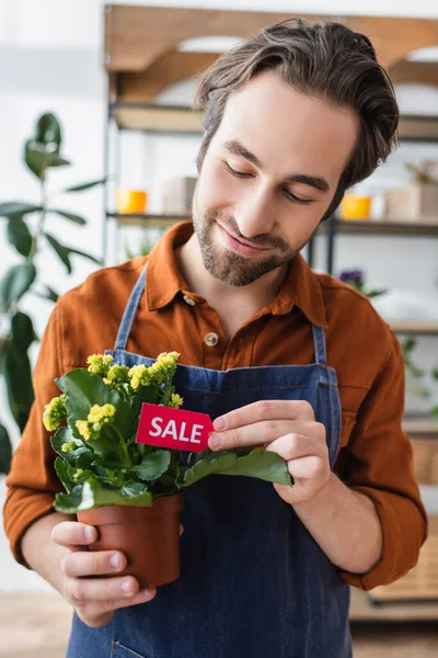 Jovem vendedor em avental segurando planta com preço na loja de flores — Fotografia de Stock
