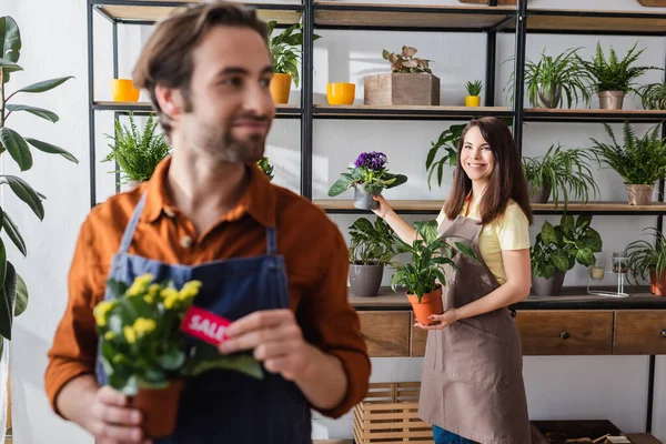 Vendedor sonriente sosteniendo plantas cerca de colega borrosa en floristería - foto de stock