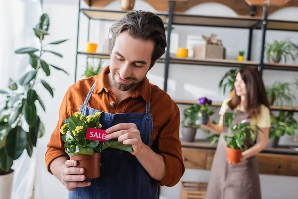 Vendedor en delantal precio de tenencia etiqueta con letras venta cerca de la planta y colega en la tienda — Stock Photo