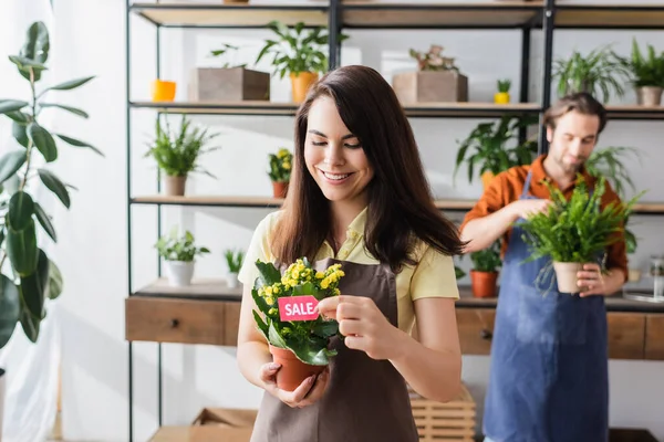 Rivenditore positivo che detiene il cartellino del prezzo vicino alla pianta e collega nel negozio di fiori offuscati — Foto stock