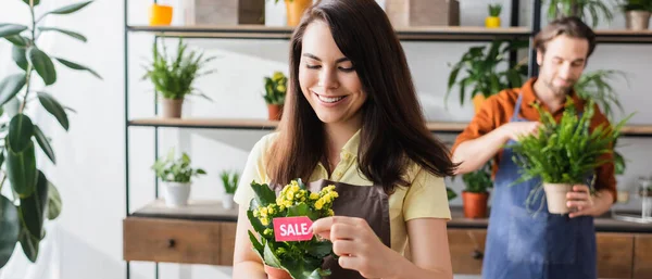 Vendedor alegre segurando planta com preço próximo colega borrado na loja de flores, banner — Fotografia de Stock