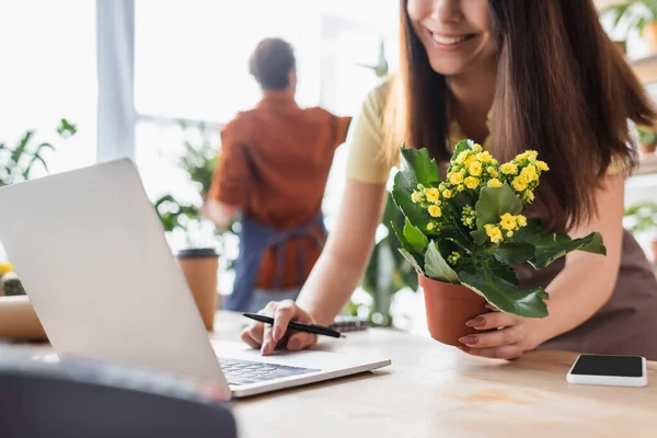 Vendedor sonriente celebración de la planta y el uso de ordenador portátil borrosa cerca de teléfono inteligente en la tienda de flores - foto de stock