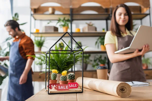 Pflanzen mit Verkaufsbuchstaben in der Nähe von Bastelpapier und verschwommenen Floristen im Geschäft — Stockfoto