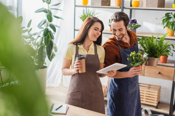 Positive florists holding digital tablet and plants in shop — Stock Photo