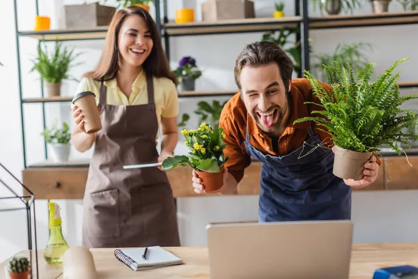 Florist with plants sticking out tongue during video call on laptop in flower shop — Stock Photo