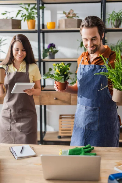 Floristería positiva que sostiene las plantas cerca del ordenador portátil y colega con la tableta digital en tienda - foto de stock