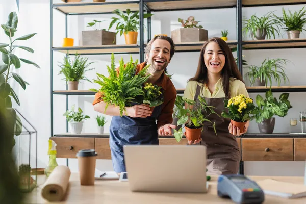 Floristas positivos en delantales que sostienen plantas cerca de la computadora portátil en la tienda de flores - foto de stock