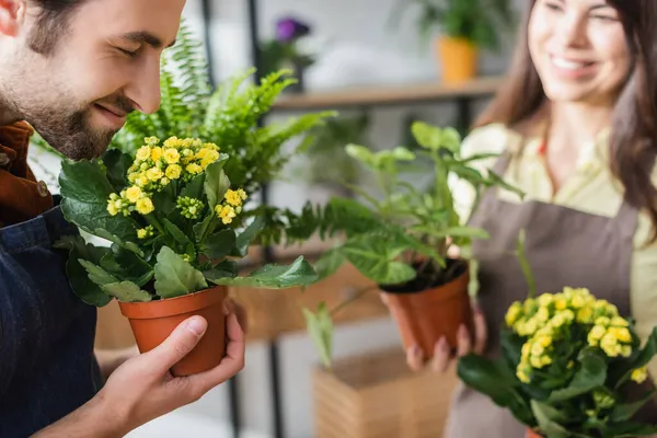 Lächelnder Blumenhändler riecht blühende Pflanze neben Kollegin im Geschäft — Stockfoto