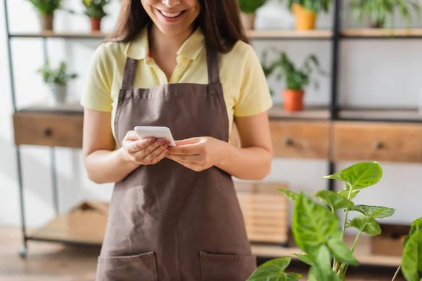 Vista cortada de florista feliz usando smartphone perto de planta na loja — Fotografia de Stock