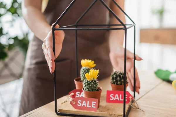 Vue recadrée du fleuriste debout près des plantes avec des étiquettes de prix dans la boutique — Photo de stock