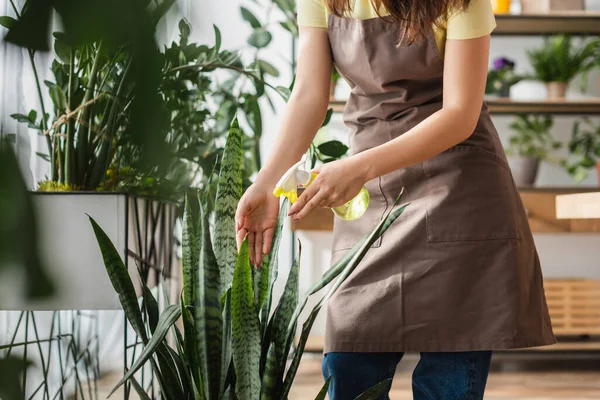 Cropped view of florist spraying plants in flower shop — Stock Photo