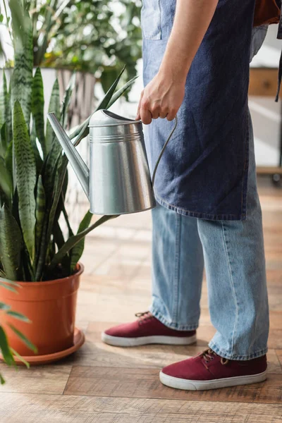 Ausgeschnittene Ansicht von Blumenhändler in Schürze hält Gießkanne in der Nähe Pflanze in Blumenladen — Stockfoto