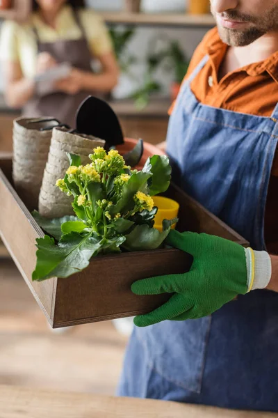 Vista cortada de florista segurando caixa com plantas e ferramentas de jardinagem na loja de flores — Fotografia de Stock