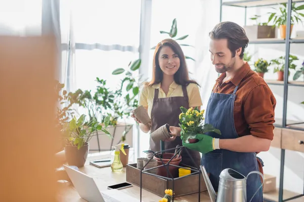 Fiorista sorridente che tiene vasi da fiori vicino a collega con piante e aggeggi in negozio di fiori — Foto stock