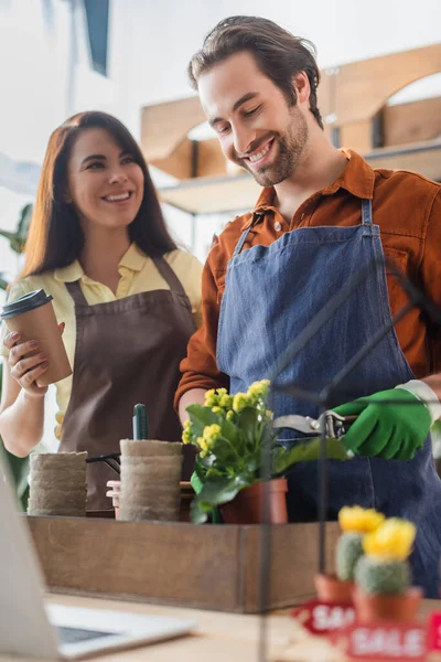 Fioristi felici che lavorano con impianto vicino a computer portatile sfocato in negozio di fiori — Foto stock