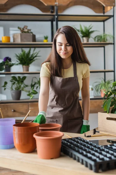 Young florist in gloves holding flowerpots near gardening tools in flower shop — Stock Photo