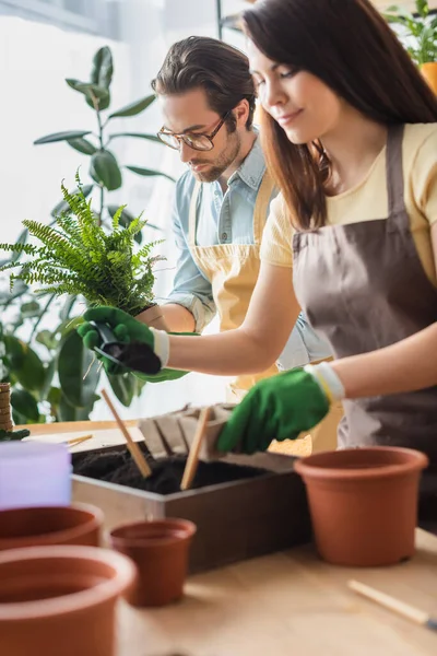 Fleuriste en gants travaillant avec des outils de jardinage et de jardinage près d'un collègue dans un magasin de fleurs — Photo de stock