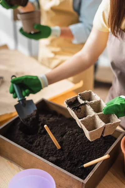 Cropped view of florist in gloves working with ground and gardening tools in shop — Stock Photo